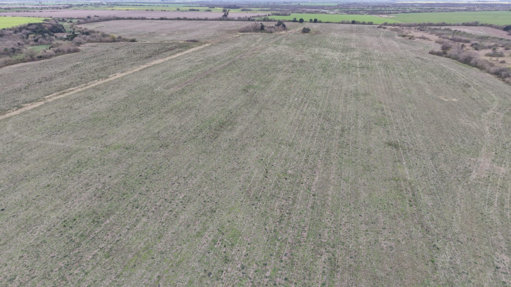 Se vende campo mixto 79has