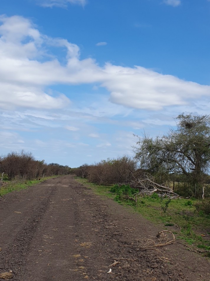 SE VENDE CAMPO GANADERO!!!