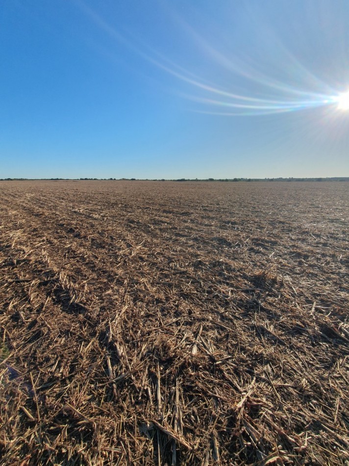SE VENDE 34HAS AGRICOLA - NOGOYA, ENTRE RIOS