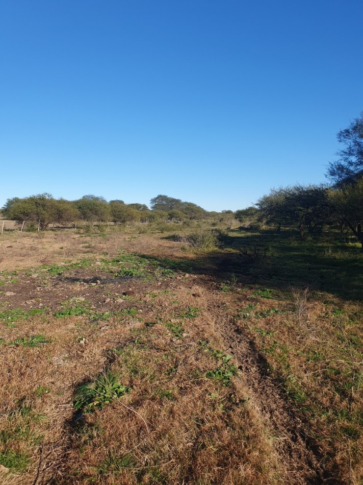 SE VENDE CAMPO MIXTO -DE 43HAS-  SOBRE RUTA  