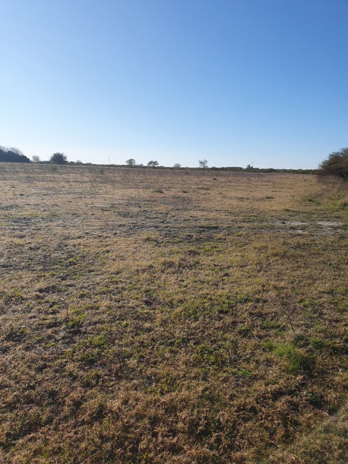 SE VENDE CAMPO MIXTO -DE 43HAS-  SOBRE RUTA  