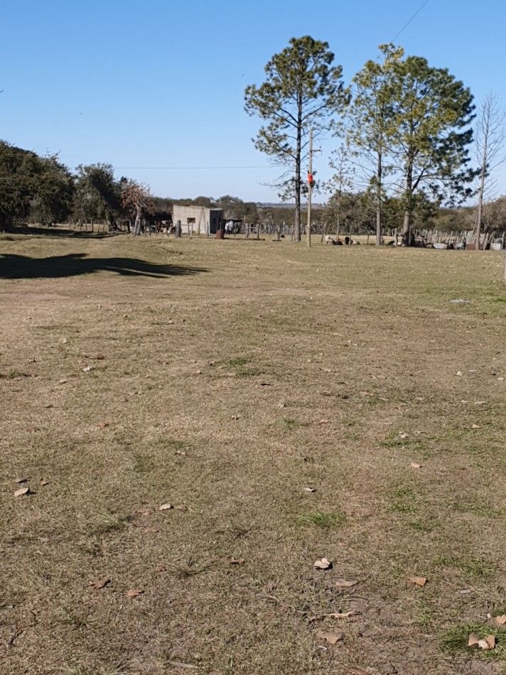 SE VENDE CAMPO MIXTO - 123 HECTAREAS - NOGOYA