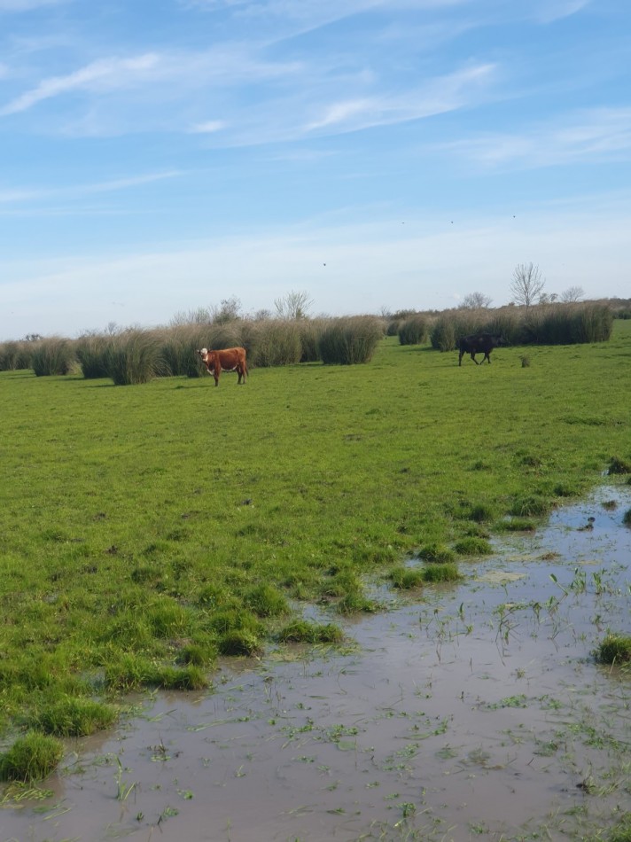 Campo mixto en venta!!