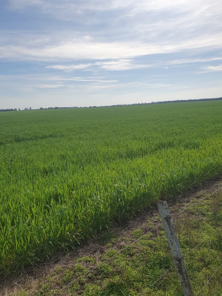 Campo mixto en venta!!