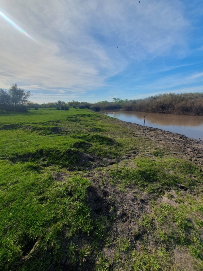 Campo mixto en venta!!