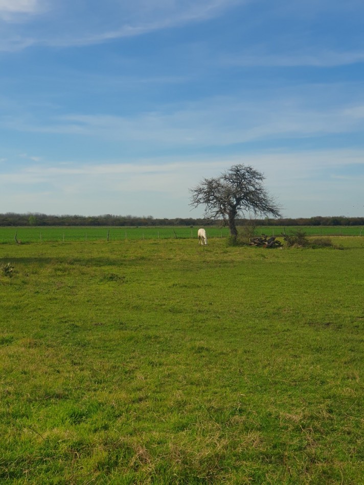 Campo mixto en venta!!