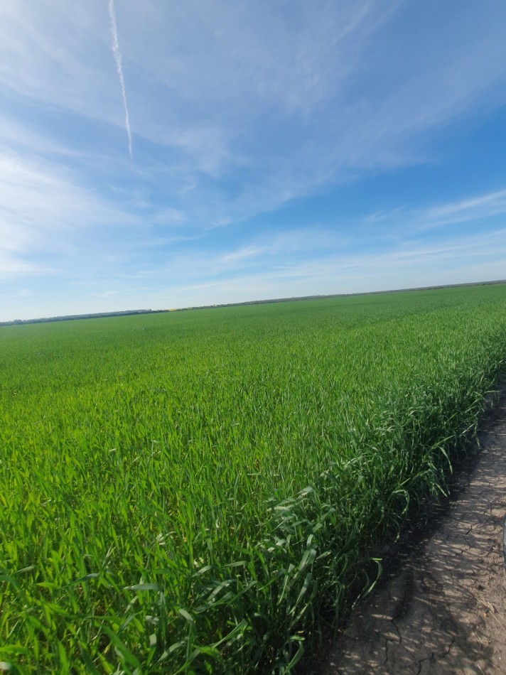 Campo mixto en venta!!
