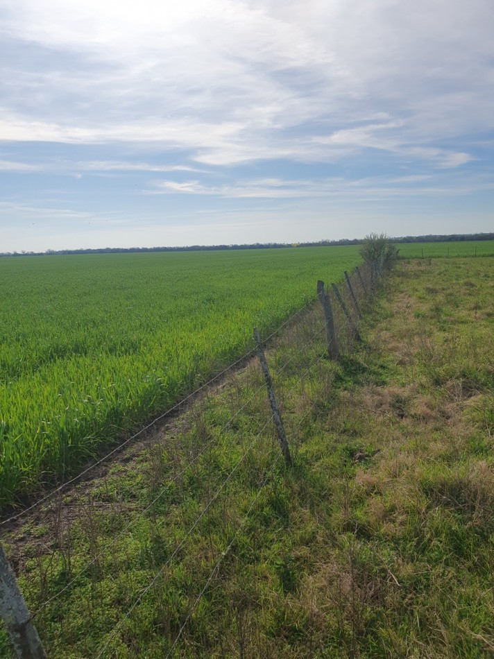 Campo mixto en venta!!