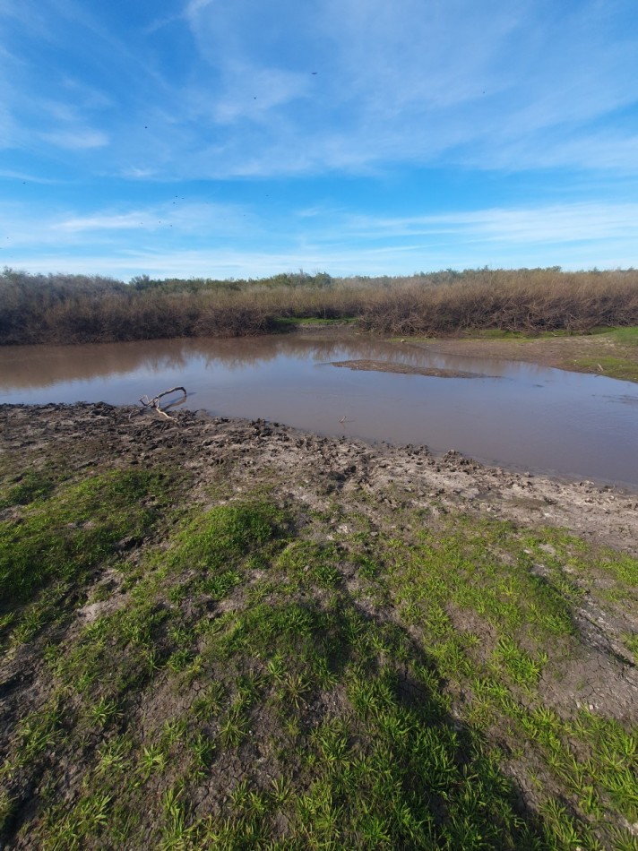 Campo mixto en venta!!
