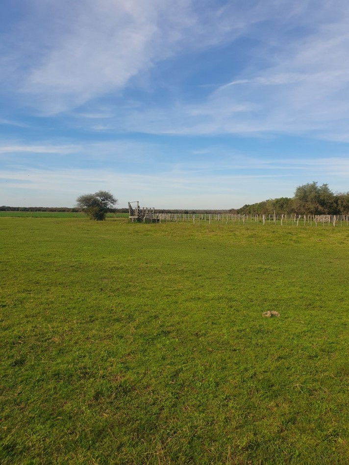 Campo mixto en venta!!