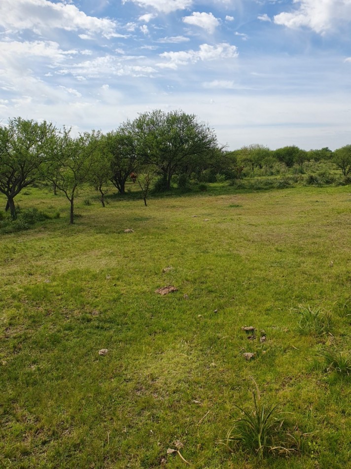 Se vende campo mixto 156has Nogoya!!!!