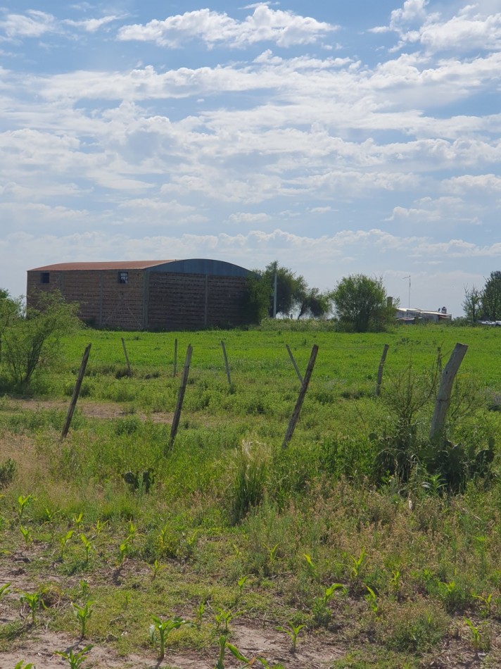 Se vende campo mixto 156has Nogoya!!!!
