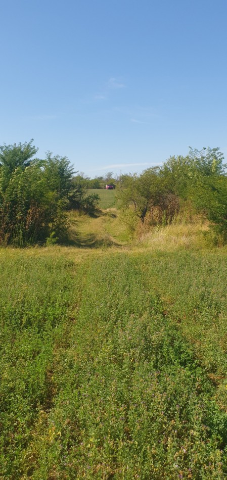 Se venden  campo mixto de 122,5has