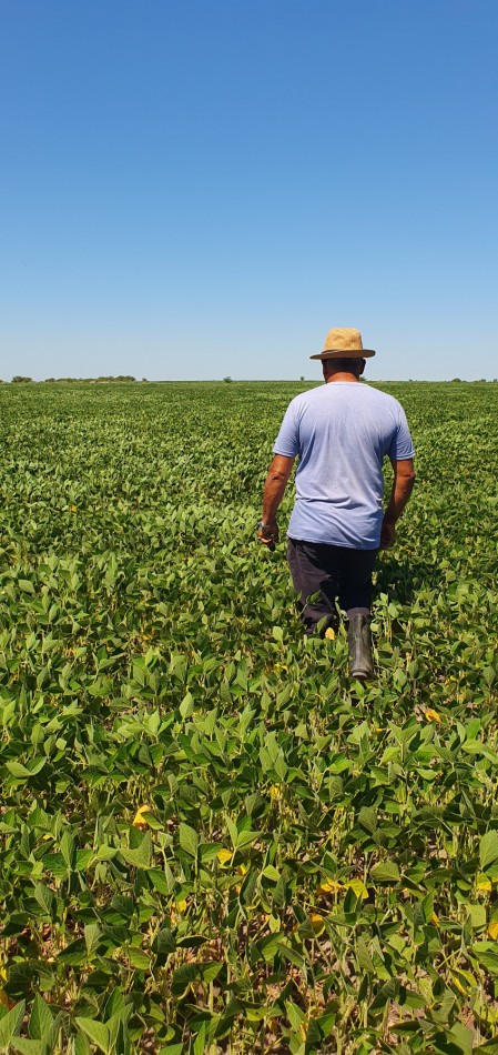 Se venden  campo mixto de 122,5has