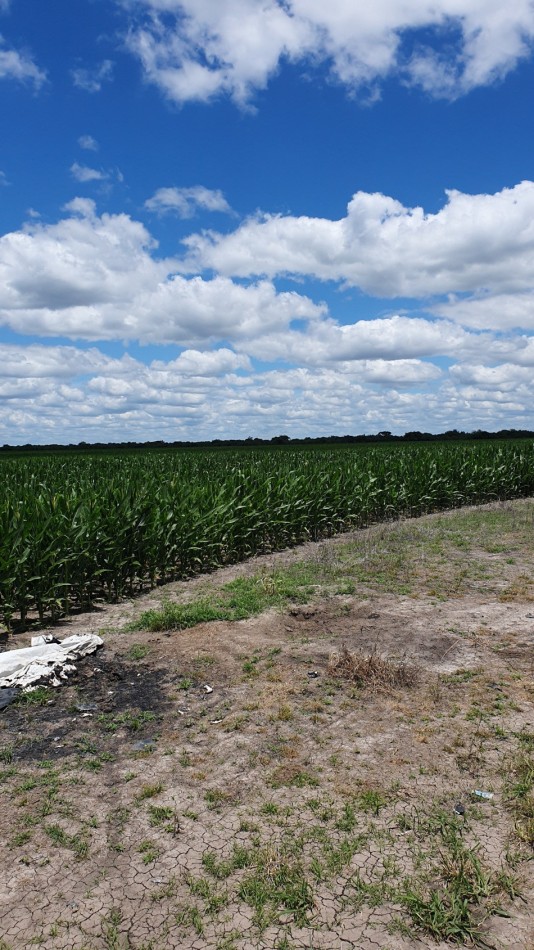 Se vende Campo Mixto 1120has  Feliciano!!!