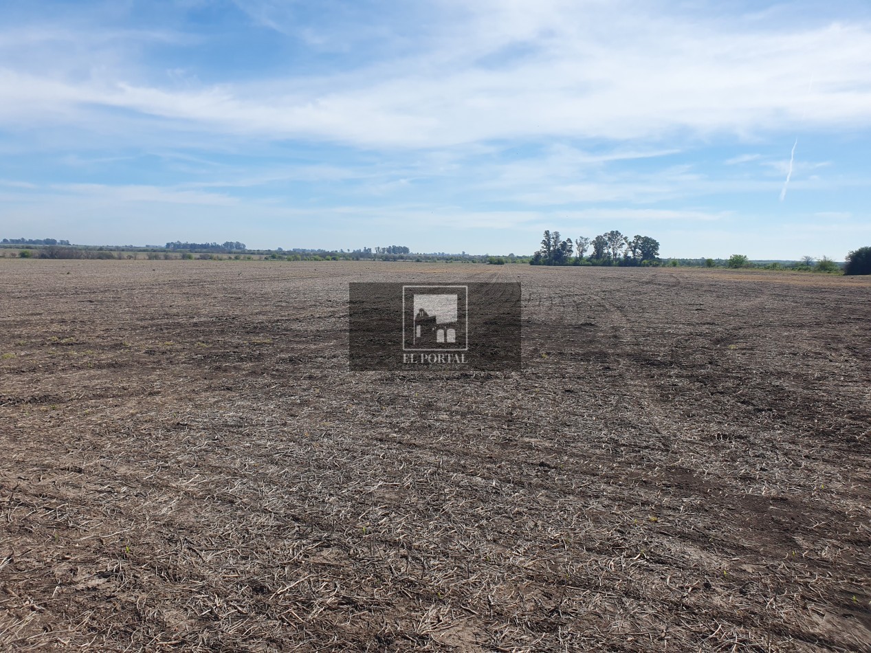 SE VENDE 112HAS DEPARTAMENTO URUGUAY