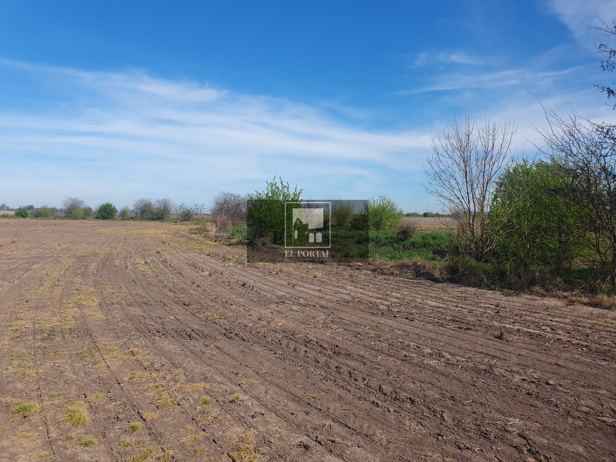SE VENDE 112HAS DEPARTAMENTO URUGUAY