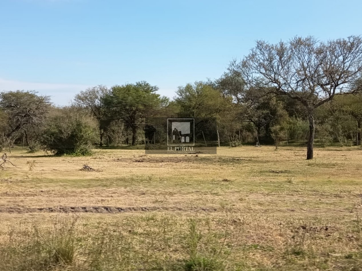 Se vende Campo Mixto 1120has Feliciano!!!