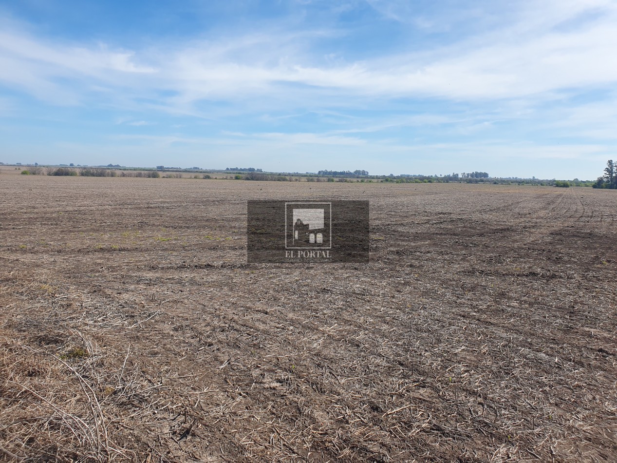 SE VENDE 112HAS DEPARTAMENTO URUGUAY