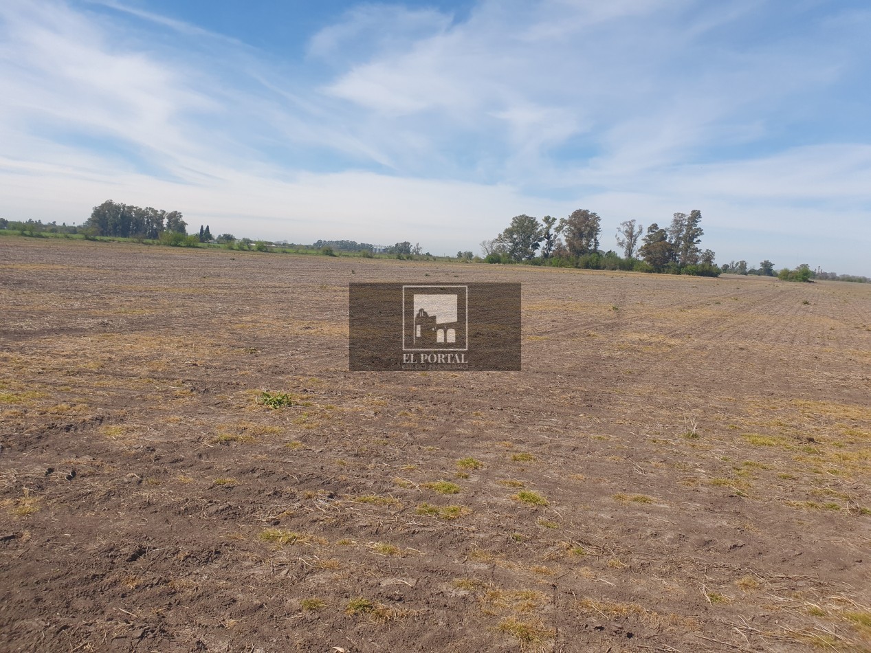 SE VENDE 112HAS DEPARTAMENTO URUGUAY