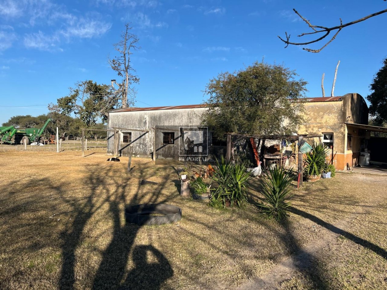 Se vende Campo Mixto 1120has Feliciano!!!
