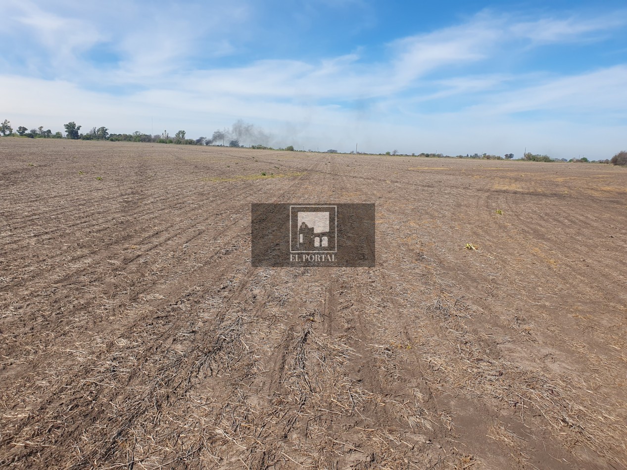 SE VENDE 112HAS DEPARTAMENTO URUGUAY