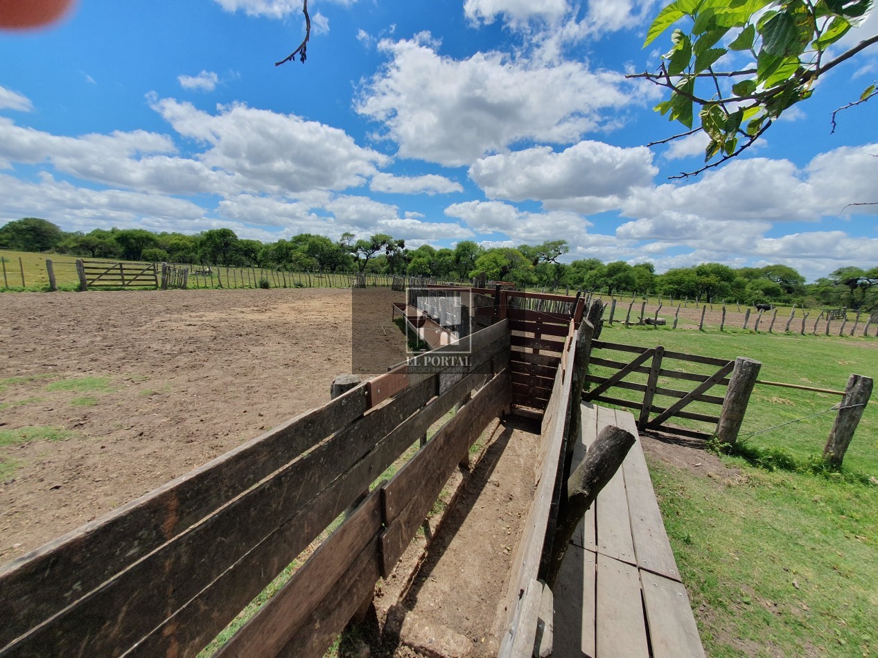 Se vende Campo Mixto 1120has Feliciano!!!