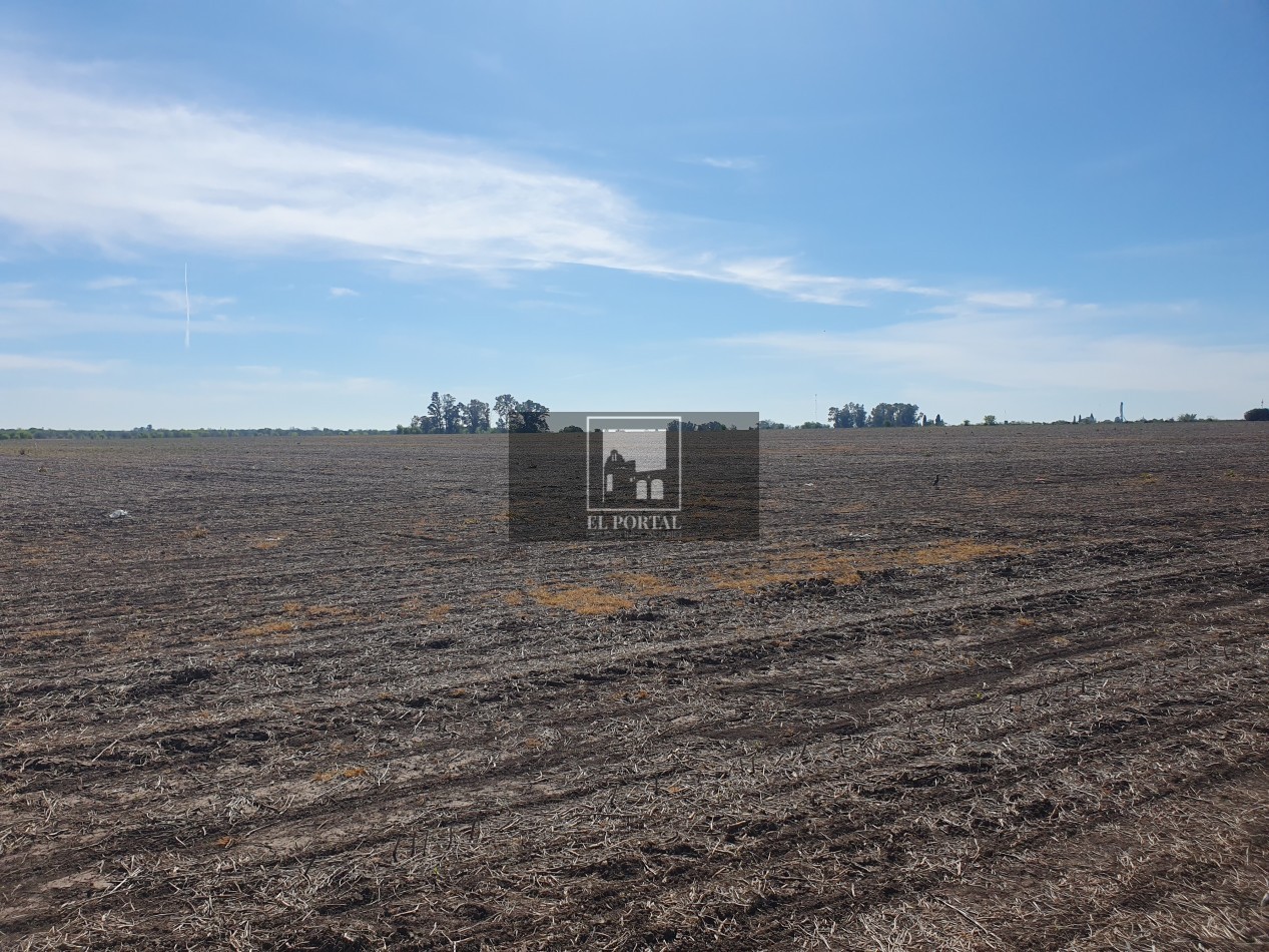 SE VENDE 112HAS DEPARTAMENTO URUGUAY