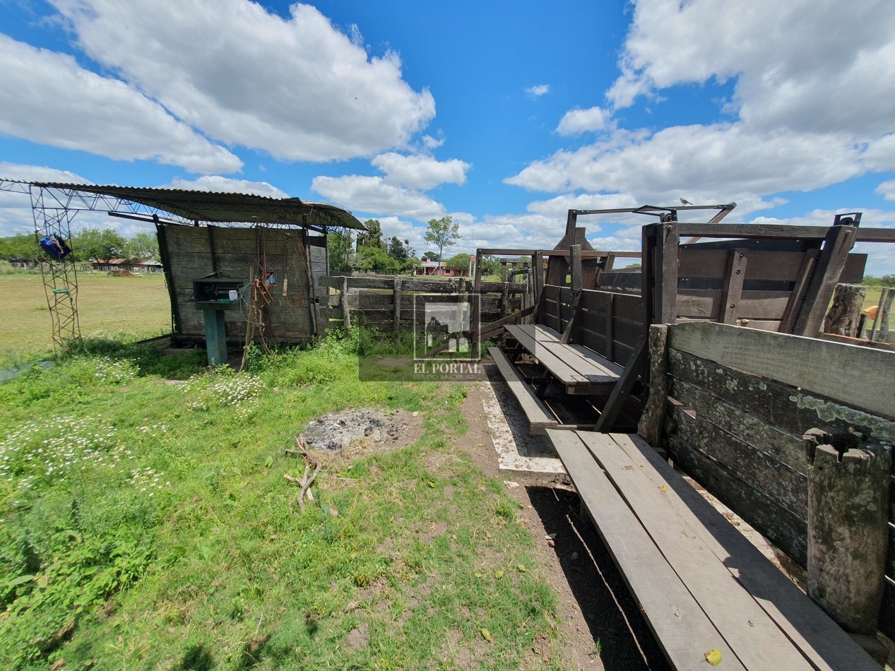 Se vende Campo Mixto 1120has Feliciano!!!