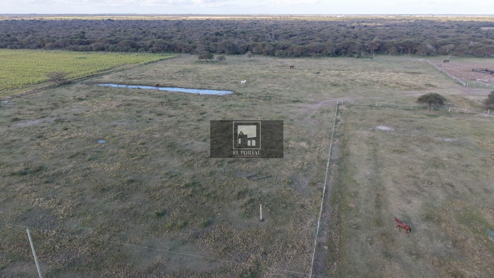 Se vende Campo Mixto 1120has Feliciano!!!