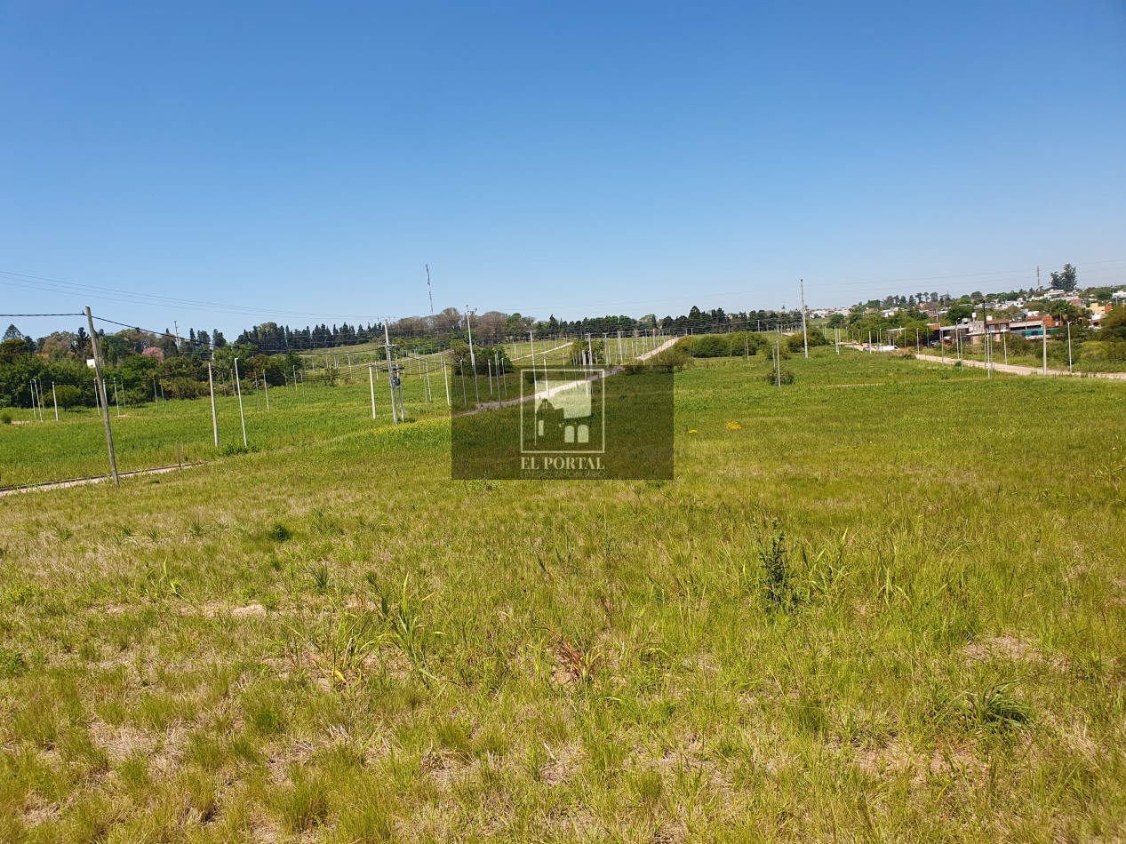 Se vende terrenos 
