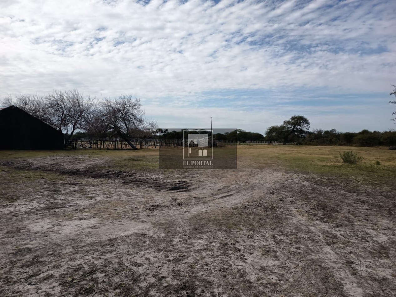 Se vende Campo Mixto 1120has Feliciano!!!