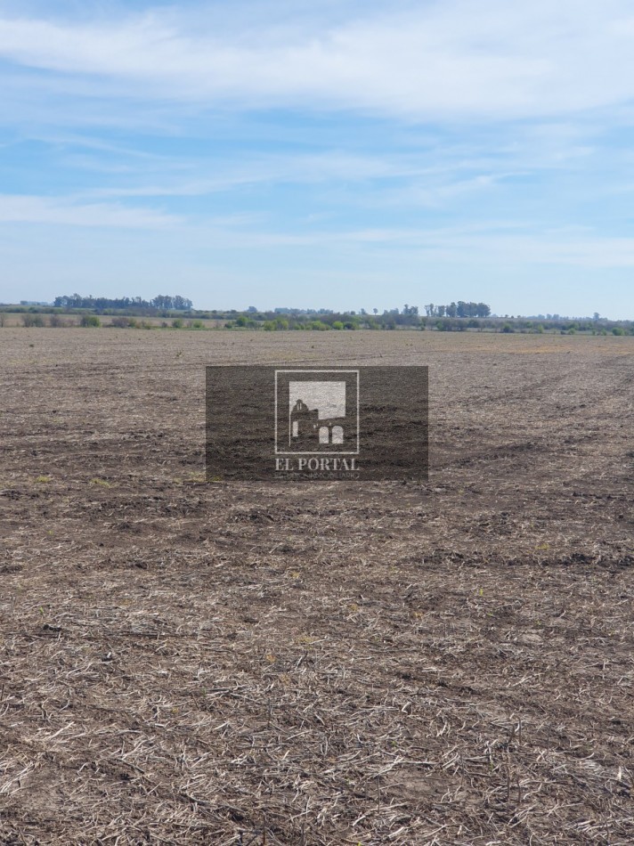 SE VENDE 112HAS DEPARTAMENTO URUGUAY