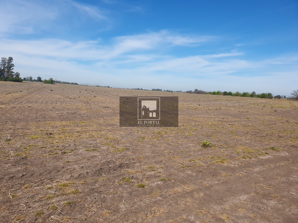 SE VENDE 112HAS DEPARTAMENTO URUGUAY