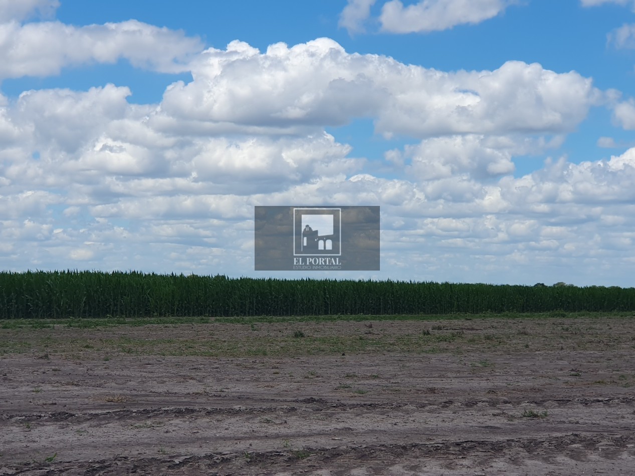 Se vende Campo Mixto 1120has Feliciano!!!