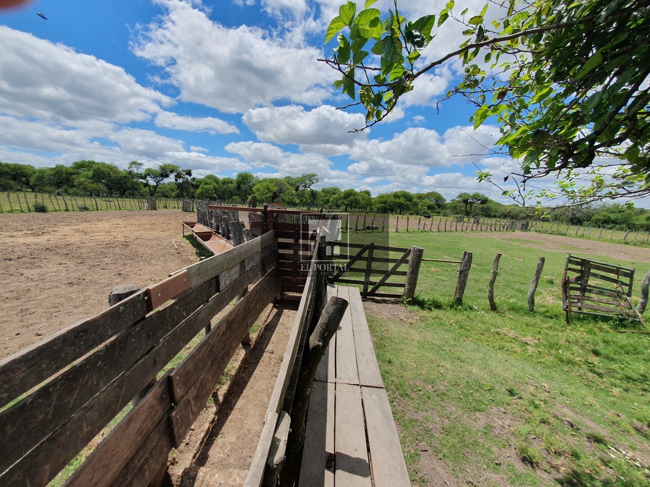 Se vende Campo Mixto 1120has Feliciano!!!