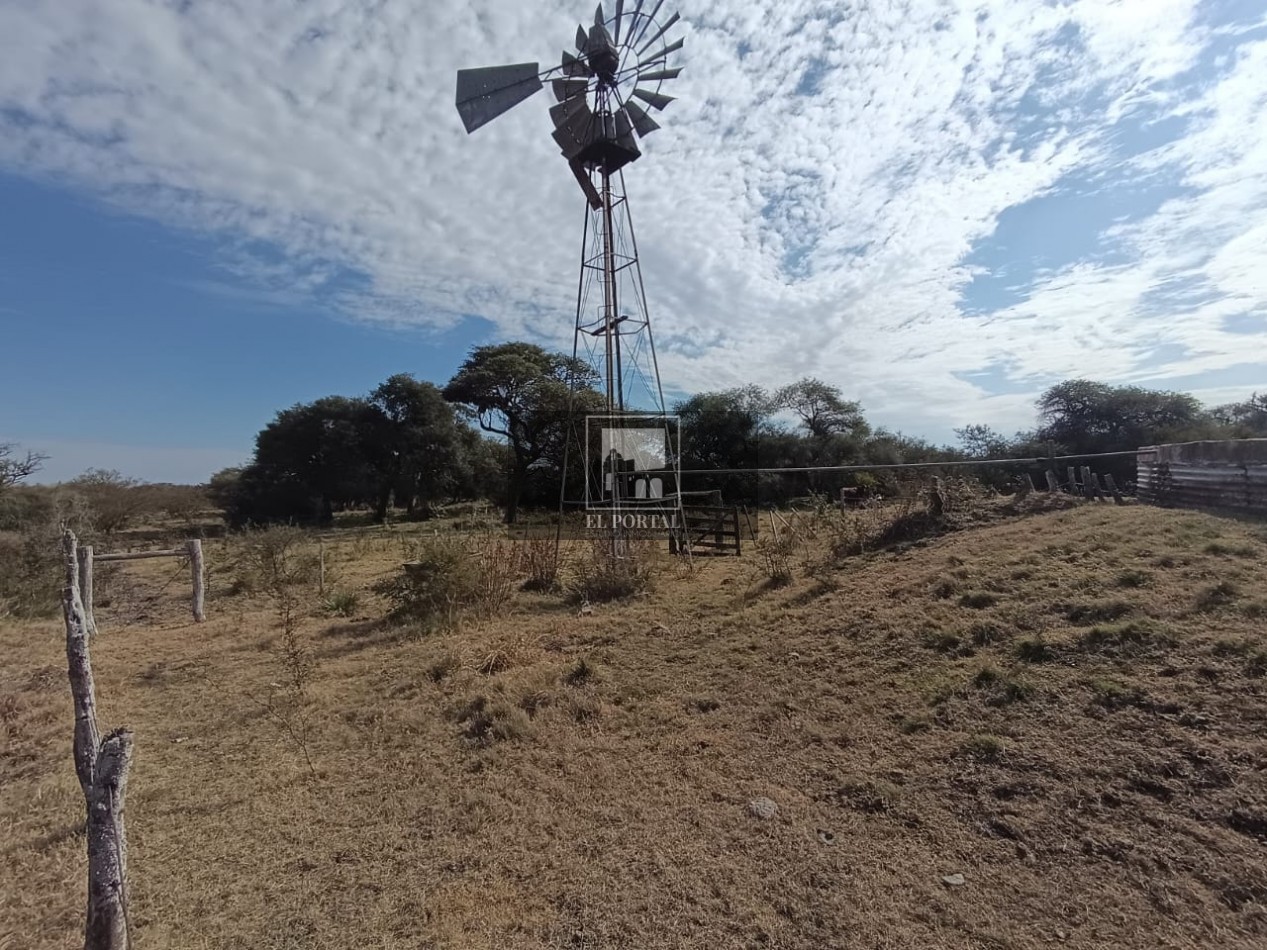 Se vende Campo Mixto 1120has Feliciano!!!