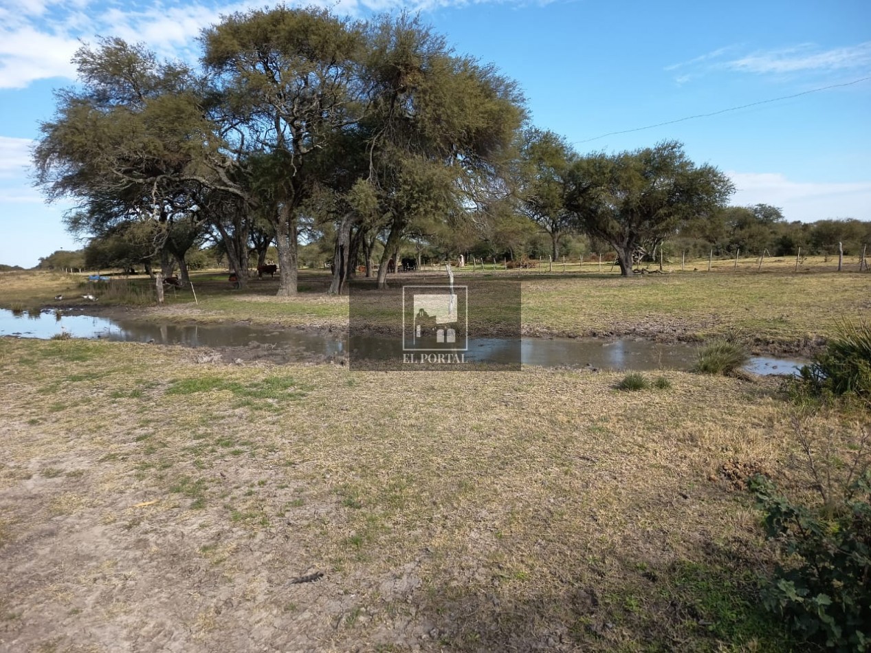 Se vende Campo Mixto 1120has Feliciano!!!