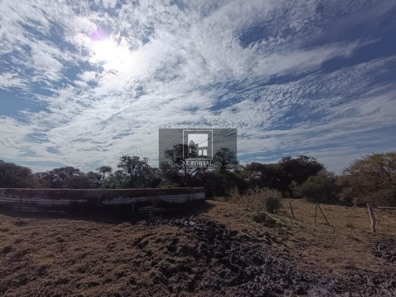 Se vende Campo Mixto 1120has Feliciano!!!