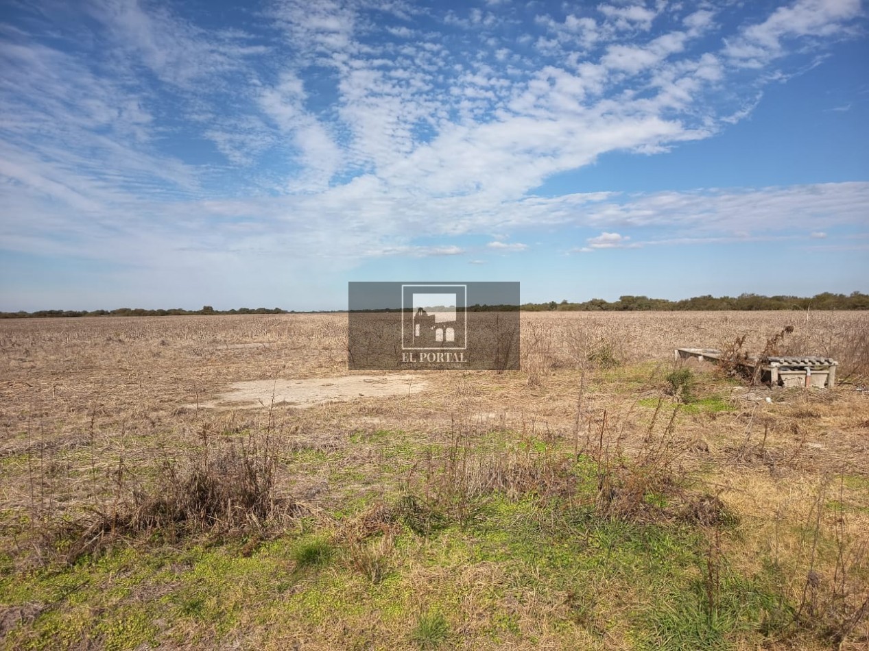 Se vende Campo Mixto 1120has Feliciano!!!