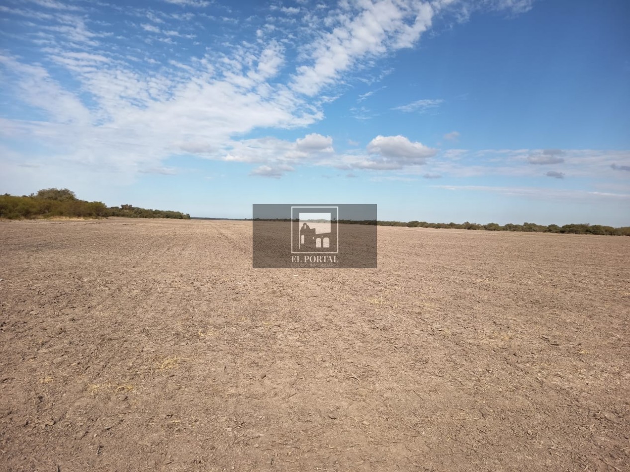 Se vende Campo Mixto 1120has Feliciano!!!