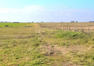 SE VENDE CAMPO AGRICOLA!!