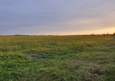Se vende campo agraicola!!