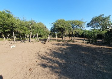 Se vende Campo Ganadero en Feliciano!!