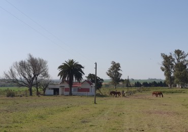 Se vende campo en Molino Doll!!