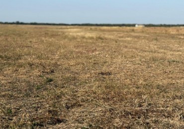SE VENDE CAMPO MIXTO - 123 HECTAREAS - NOGOYA