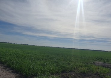 Campo mixto en venta!!