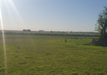 En Vente Campo Agricola de 113has!!!