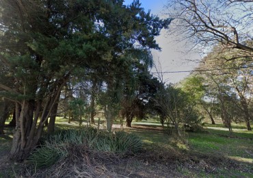 SE VENDE 2 TERRENO SAUCE MONTRULL