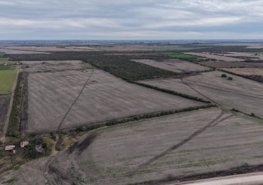 Campo Mixto de 170has en venta!!